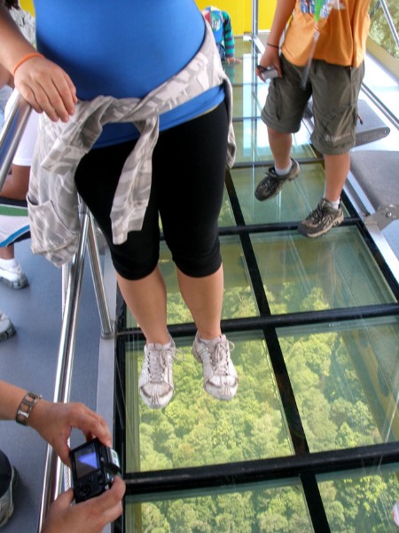 glass floor.jpg