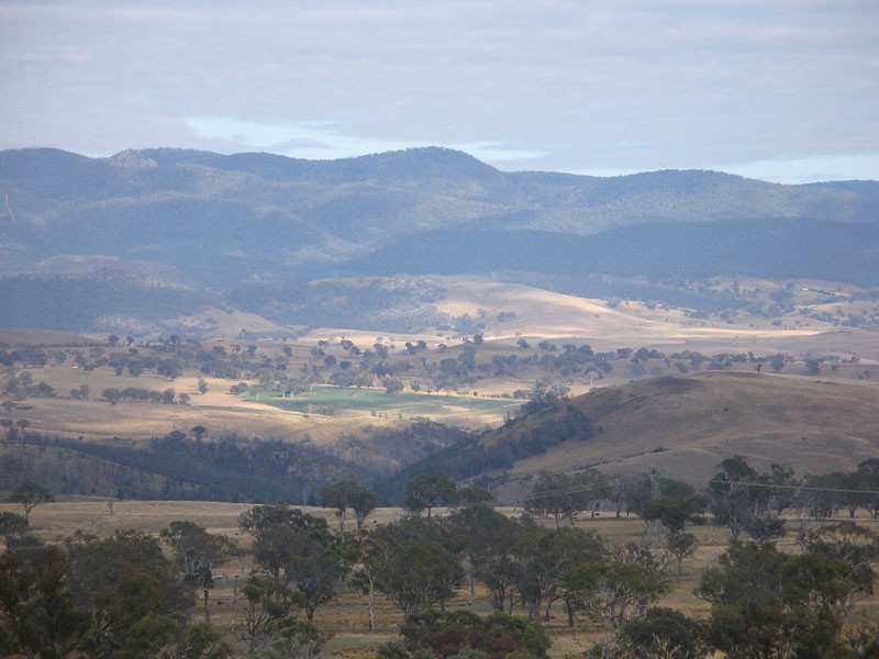 canberra colours.jpg