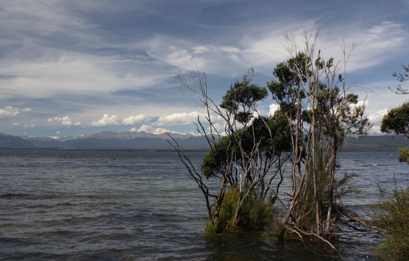 lake te anua.jpg