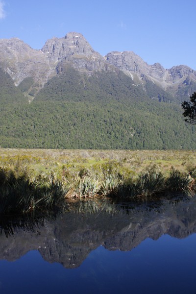 mirror pools 1.jpg