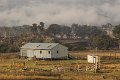 sheepshed