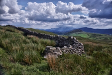 Sheep pen Transfynnydd